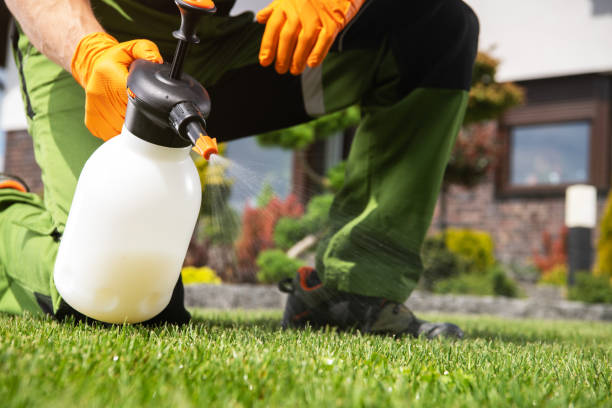 Best Residential Pest Control  in Pelahatchie, MS