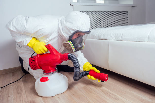 Best Pest Removal Services  in Pelahatchie, MS