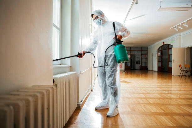 Best Local Pest Control Services  in Pelahatchie, MS