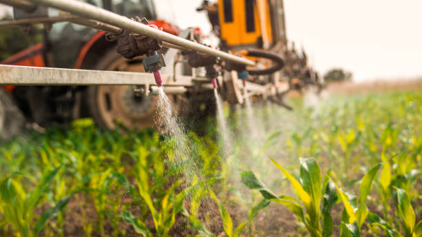 Professional Pest Control in Pelahatchie, MS